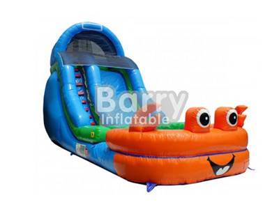 Banzai Inflatable Pool Water Slide , Frog Inflatable Water Slide For Park BY-WS-045